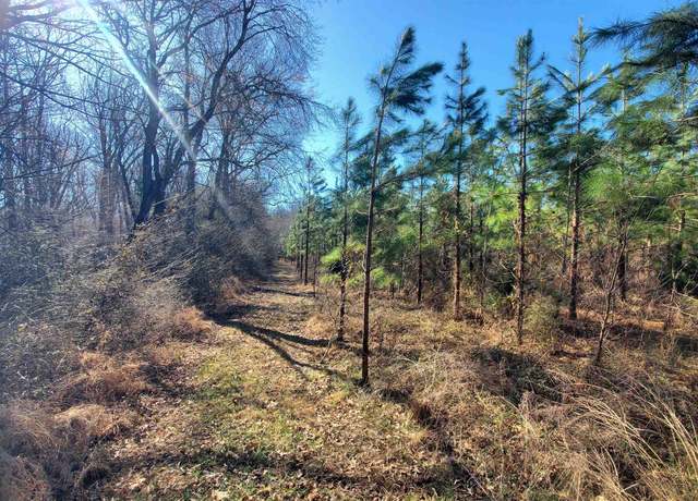 Property at 213ac Level Run Rd, Long Island, VA 24569