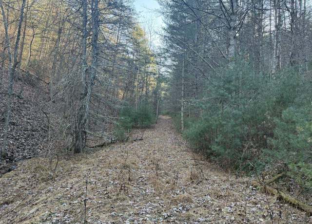 Property at 21 acres Buck Hill Ln, Sugar Grove, WV 26815