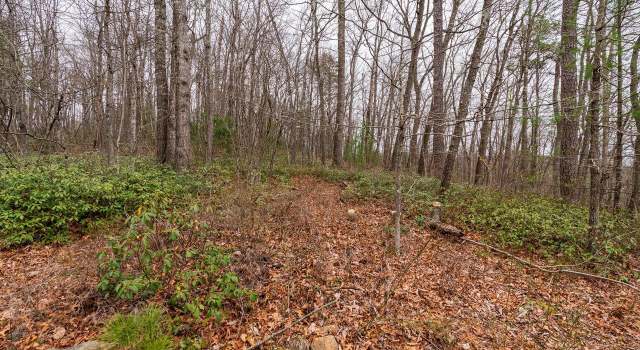 Photo of Rabbits Foot Rd, Hinton, VA 22831