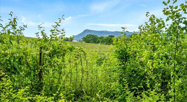 Photo of 1806 Mt Olivet Church Rd, Elkton, VA 22827