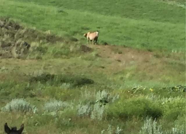 Property at 6707 SE Moser Dome Rd Rd SE, Laurel, MT 59044