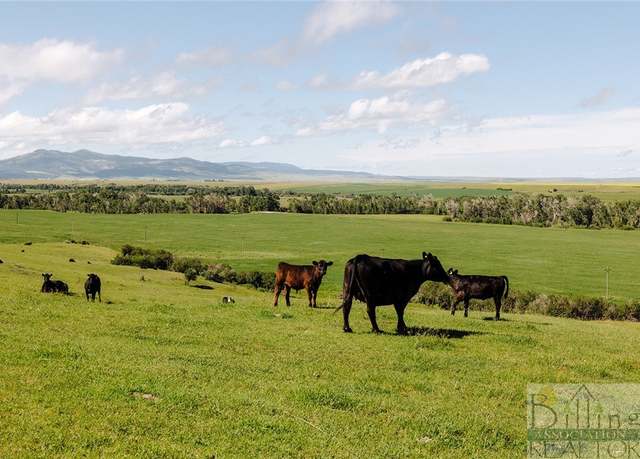 Property at 6058 Cottonwood Creek Rd, Lewistown, MT 59457, 5 beds, 1.5 baths