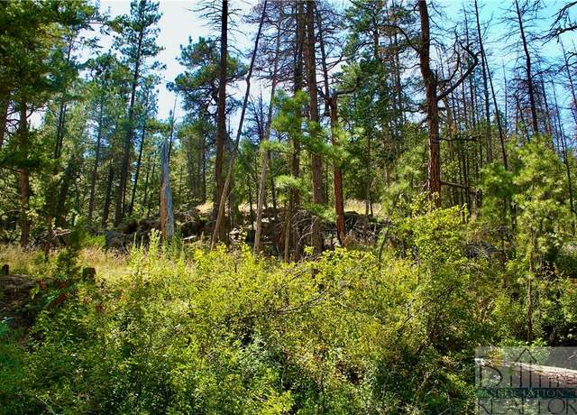 Property at 0 Box Caynon Ln, Other-see Remarks, MT 59421