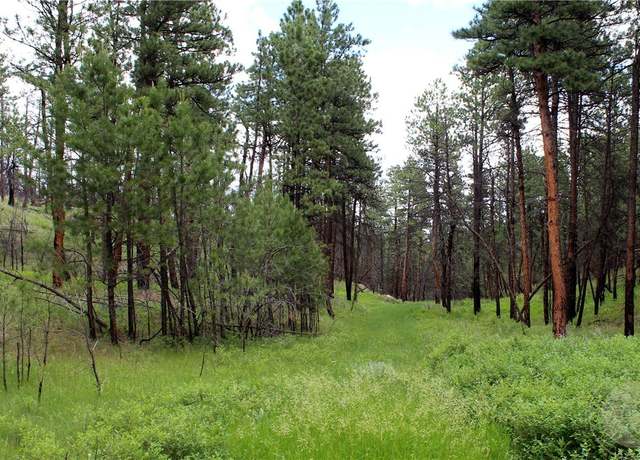 Property at tbd Deer Ln, Roundup, MT 59072