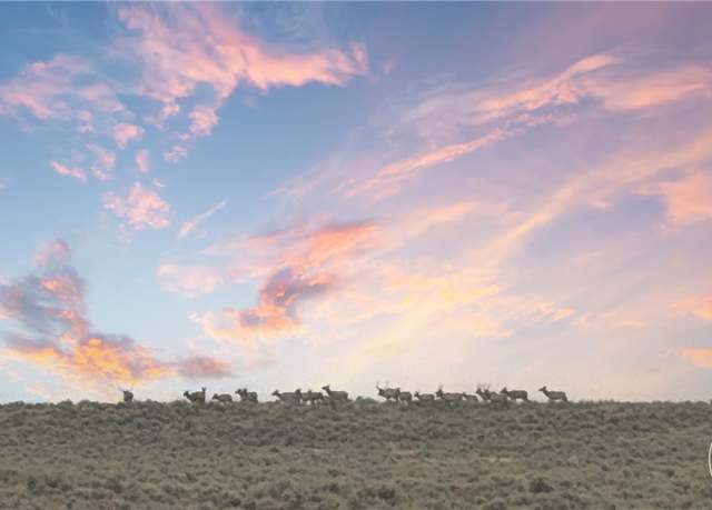 Property at 363 N Dry Creek Rd, Bridger, MT 59014