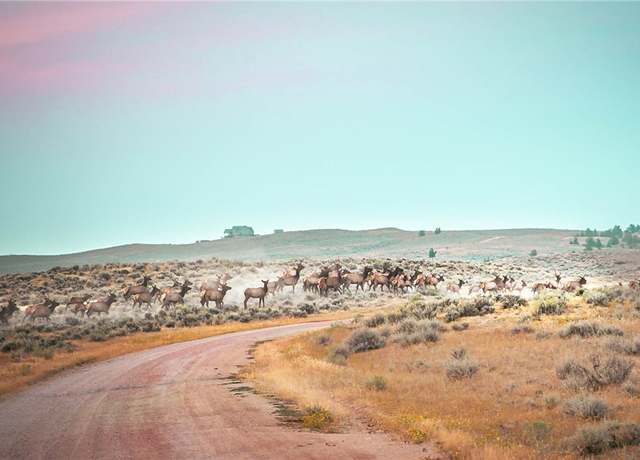 Property at 300 Acres N Dry Creek Rd, Bridger, MT 59014