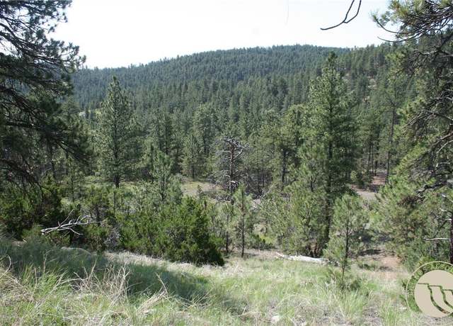 Property at Lot 82 Cougar Trl, Reed Point, MT 59069