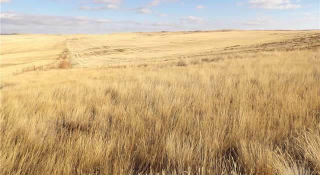 Photo of 41500 Highway 253, Circle, MT 59214