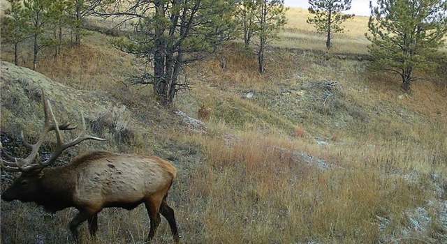 Photo of 0 Melstone / Custer Rd, Melstone, MT 59054