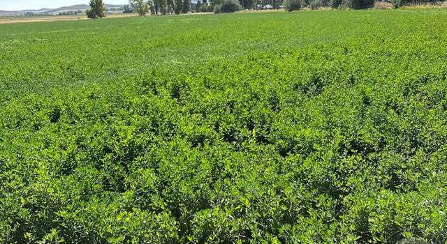 Photo of NHN S River Rd, Bridger, MT 59014