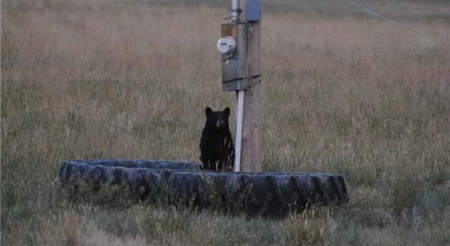 Photo of TBD Cow Creek Rd, Big Timber, MT 59011