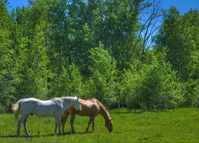 Property at 13830 (Tract B) Cottonwood Road Rd, Bozeman, MT 59718