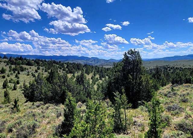 Property at Undisclosed address, Alder, MT 59710