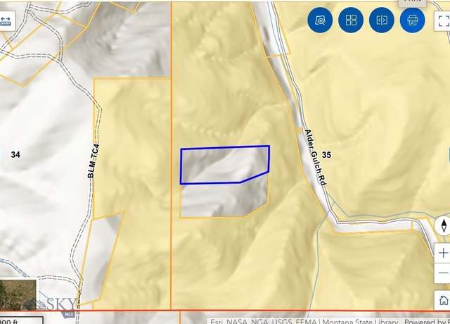 Property at TBD Wilson Lode Sur 10360, 19.43 AC -mining Claim, Virginia City, MT 59729