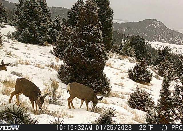 Property at Lot 74 Pony Express Trl, Ramsay, MT 59748