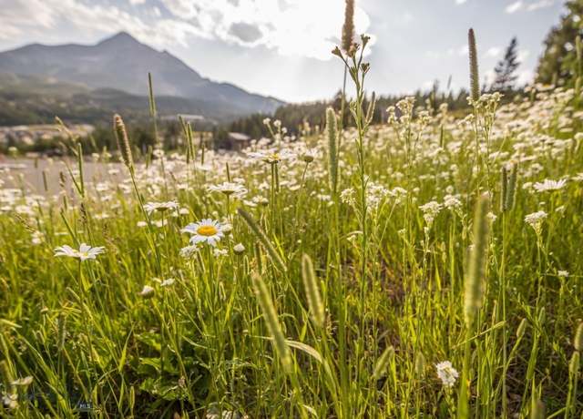 Property at Lot 23 Washaki Rd, Big Sky, MT 59716
