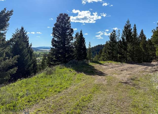 Property at TBD (5.4+/- acres) Gold Coin Ln, Anaconda, MT 59711