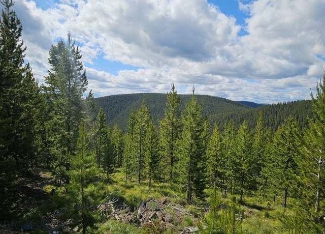 Property at 5212 Slide Rock Mountain Rd, Philipsburg, MT 59858