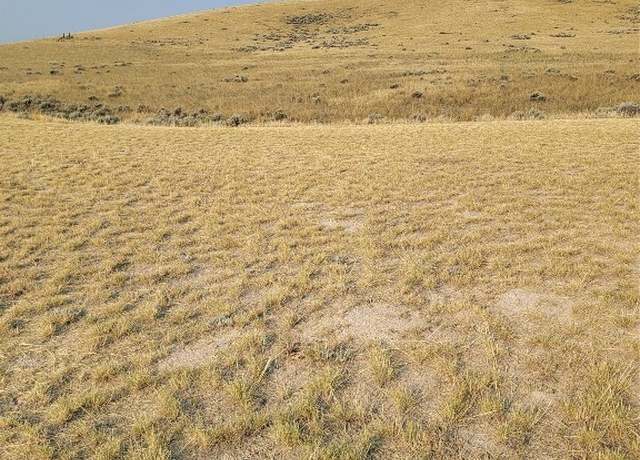 Property at 193 Williams, Dillon, MT 59725