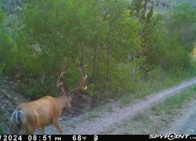 Property at 1131 Outlaw Trail Trl, Anaconda, MT 58711