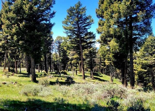 Property at Undisclosed address, Sheridan, MT 59749