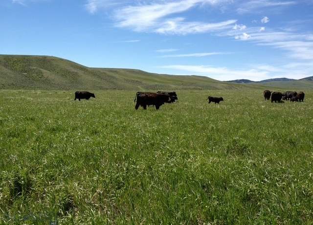 Property at 110 Schendel Rd, White Sulphur Springs, MT 59645