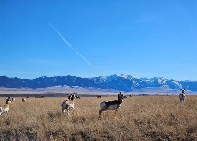 Property at TBD Cow Camp Trl, Ennis, MT 59729