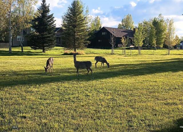 Property at Lot 129 E Graf St, Bozeman, MT 59715