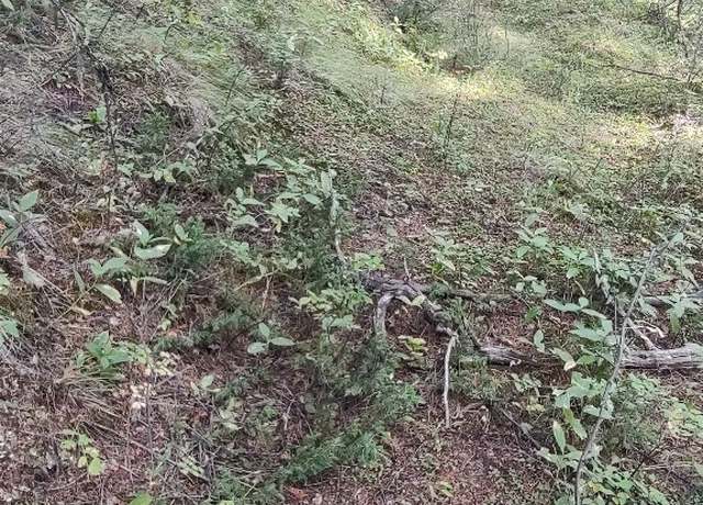 Property at NKN Gonq Road/contract Mill Rd, Philipsburg, MT 59858