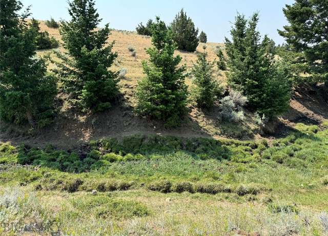 Property at The Good Luck, Walkerville, MT 59701