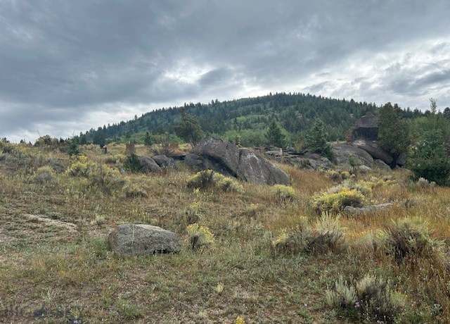 Property at LOT 14/15 Mammoth, Butte, MT 59701