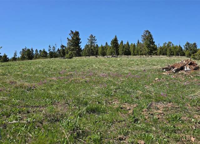 Property at 9 Garnet Range Tract, Drummond, MT 59832