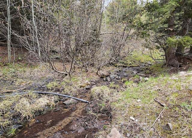 Property at 13 Garnet Range Tract, Drummond, MT 59832