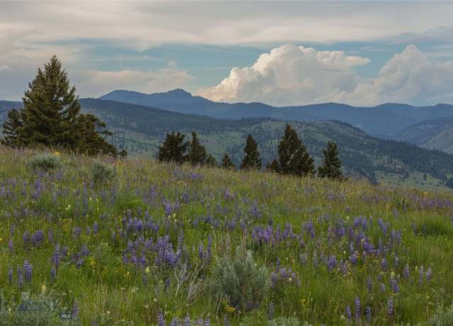 Property at 3 Tract, Bull Elk, Drummond, MT 59832