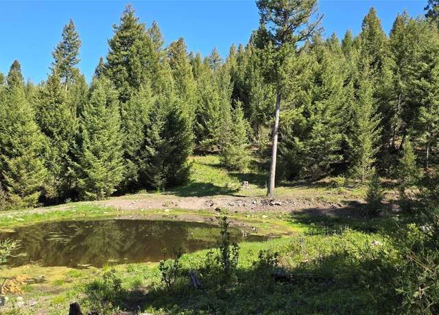 Property at 4 Tract, Bull Elk, Drummond, MT 59832