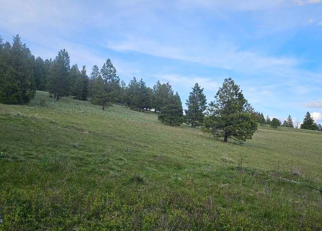 Property at 6 Tract, Bull Elk, Drummond, MT 59832
