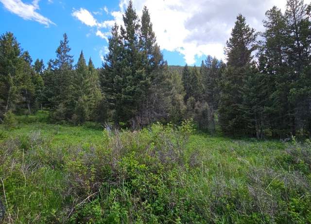 Property at 11 Tract, Hall Crk, Helmville, MT 59843