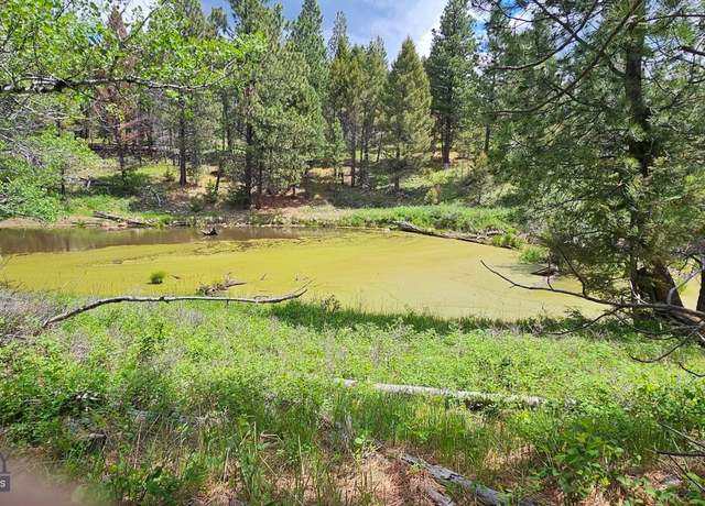 Property at 12 Tract, Hall Crk, Helmville, MT 59834