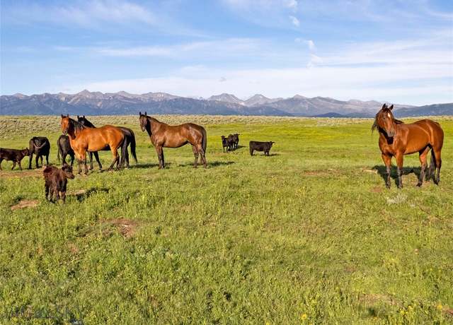 Property at TBD Elk Creek Rd, Wilsall, MT 59086