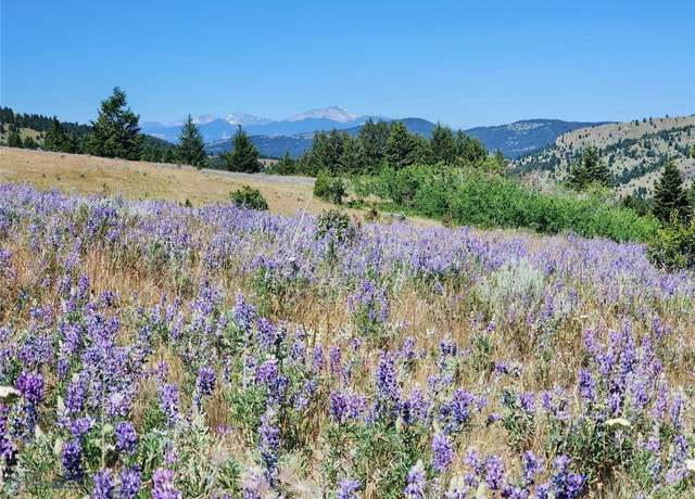 Property at TBD Bull Run Gulch Rd, Walkerville, MT 59701