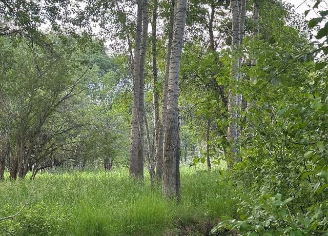 Property at TBD Spring Creek Dr, Bozeman, MT 59715