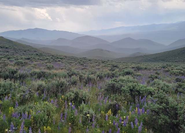 Property at Essay/Locust Lode Soap Gulch Rd, Melrose, MT 59743