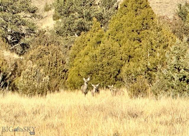 Property at LOT 528 Tbd Hayden Taylor Rd, Three Forks, MT 59752