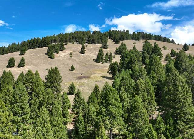 Property at TBD Scranton Lode Lot 5 MS 3667 Rd, Philipsburg, MT 59858