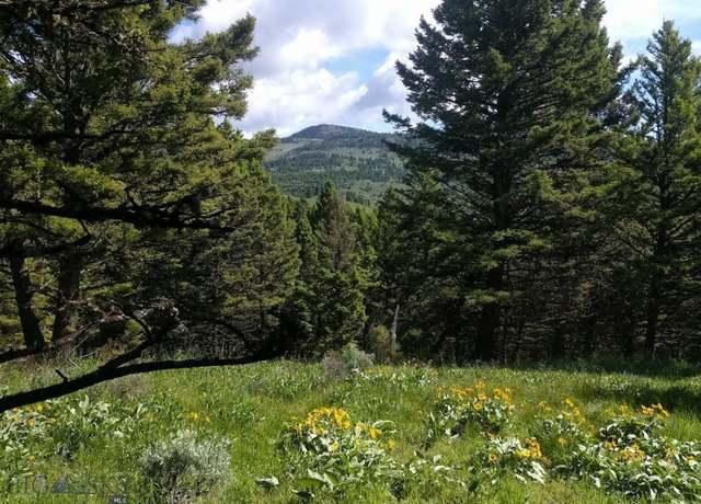 Property at Lot 4 Sunflower Ln, Livingston, MT 59047