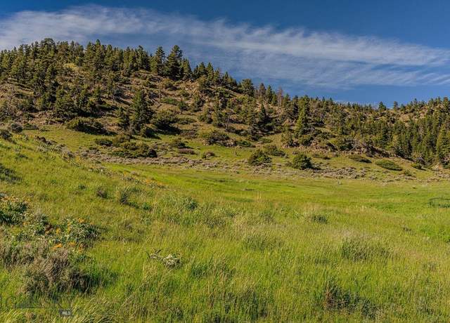 Property at TBD O'rea Creek Road (parcel 6), Livingston, MT 59047