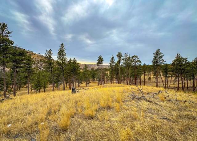 Property at 40 Acres American Bar Rd, Helena, MT 59602