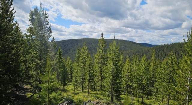 Photo of 5212 Slide Rock Mountain Rd, Philipsburg, MT 59858