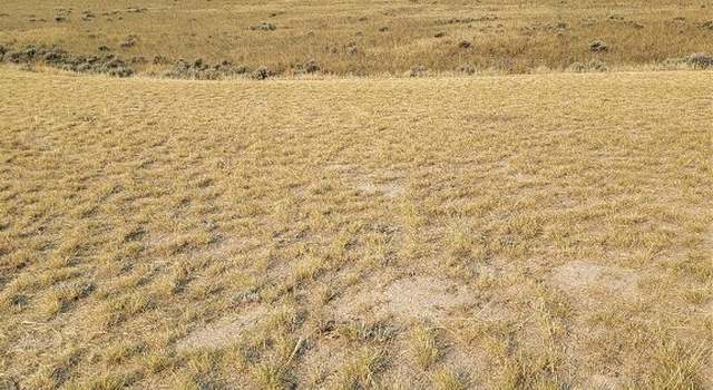 Photo of 193 Williams, Dillon, MT 59725