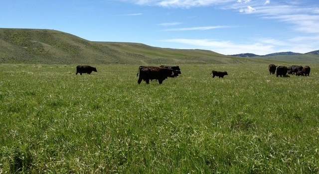 Photo of 110 Schendel Rd, White Sulphur Springs, MT 59645